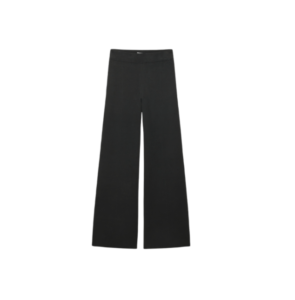 aritzia pants