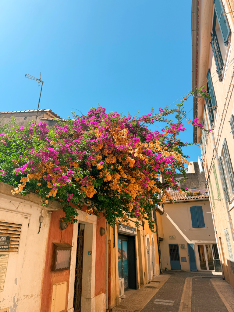 colorful flowers on a street in the south of France 