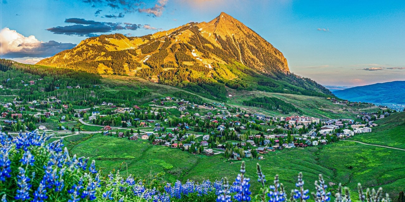 Crested Butte wildflowers overlooking Mount Crested Butte, Colorado in the summer.